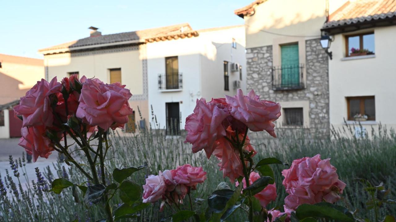Casa Rural Antigua Botica Torremocha de Jarama Екстериор снимка